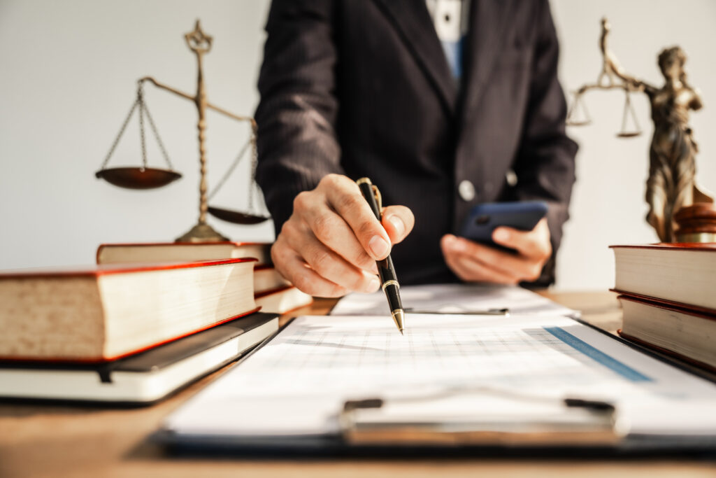 lawyer provides legal counsel and representation, navigating the